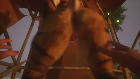 Wild Life - Stormy Night