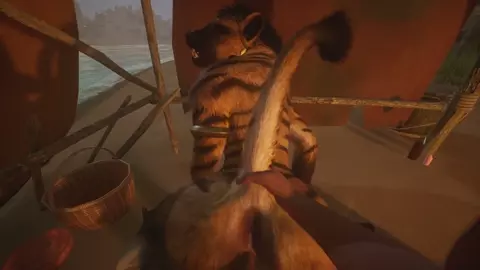 Wild Life - Stormy Night