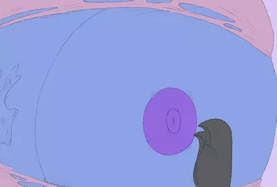 Milking [johnnypescado]