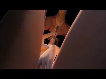 Is this real life (60 FPS)