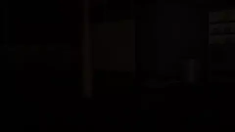 Laura Matsuda Fucked By A Homeless Man