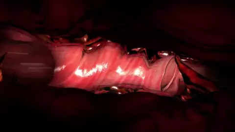 Jill Doggo Long Fuck