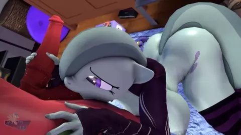 "Save a Horse" - MLP HMV/PMV