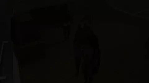 Sean's Life Episode 09 ReUp