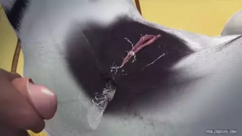 "SCENARIO SWAP" | YIFF YMV/PMV