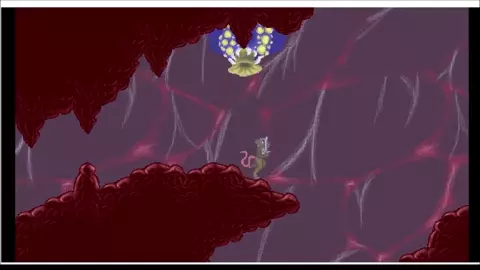 Bird enemy - Packedrat