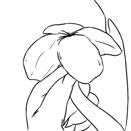 Dick Plant [hajnalski]