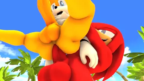 Tails x Knuckles Part 2 [Wector]