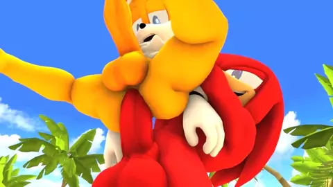 Tails x Knuckles Part 2 [Wector]