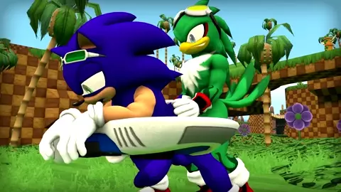 Sonic x Jet The Hawk [Wector]
