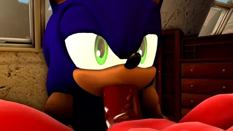 Sonic Blowjob Knuckles Part 3 [Wector]