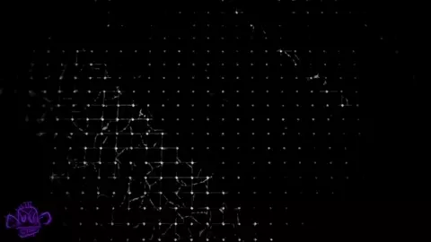 Nyakumi-Metamorphosis