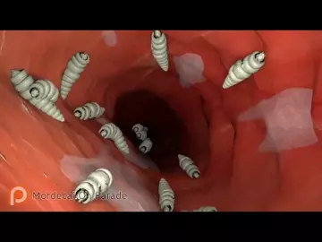 Seras Victoria in the web 2