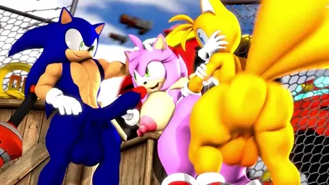 Sonic and Tails Saving Amy [shatteredshor]