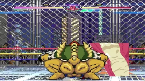 (Mugen) Bowser vs Falco
