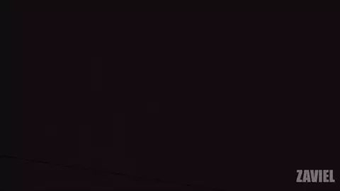 TWINKLE PARADISE [Zaviel & KaiArtz]