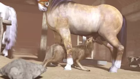 Spirit x Shadow - Trioami