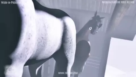 Spirit x Shadow - Trioami