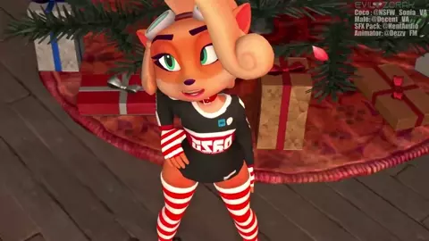 Coco's Christmas