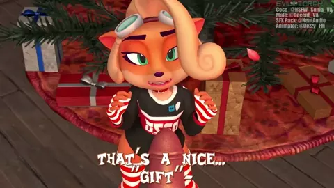 Coco's Christmas