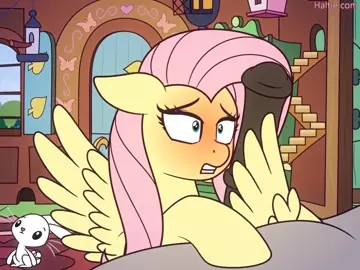 Angel Missing [haltie]