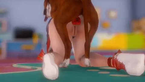 Funk Hmv ASS IMPACT◇