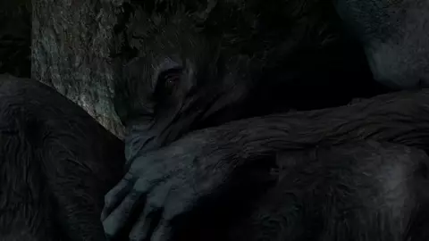 Werewolf Head [CastusHeoc]