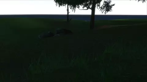 Stranger in the jungle