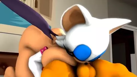 Rouge 69 Tails [shatteredshor]