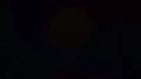 RElocationFX Mavis Dracula - HMV - I Iove It (No Futanari edition)