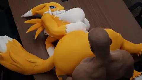 Renamon(And Some Krystal) Porn Compilation