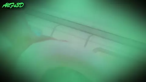 Werk Foot Fetish PMV