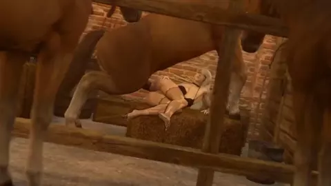 [PMV] Horses - Gimme More | Bestiality PMV