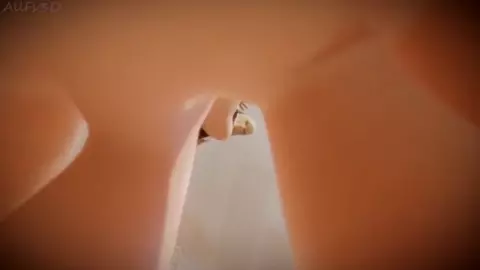 How You Like That | Feet PMV