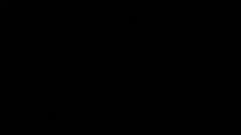 Beartober [MetalFoxT][4K]