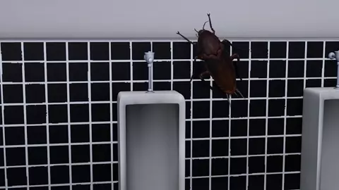 liya insect sex(蟲奸警告)