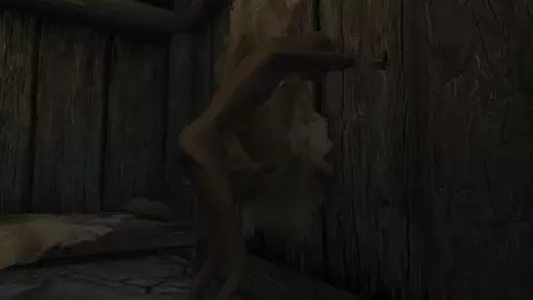 I help a drunken old man at the inn (Eng/Sub)