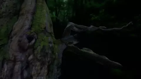 The Titanoboa X sleeping girl