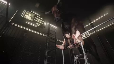 Tifa Lockhart & Bull [Slave][Zmsfm][4K]