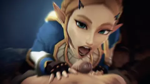 HYRULE WHORES PHONK - HMV {GAY}