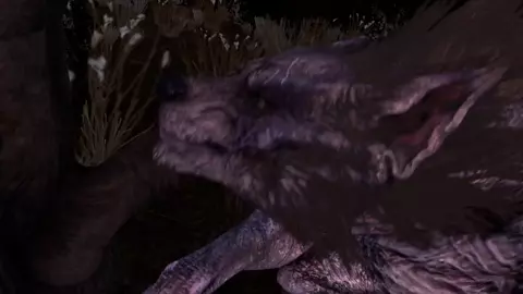 Wolf Maw [CastusHeoc]