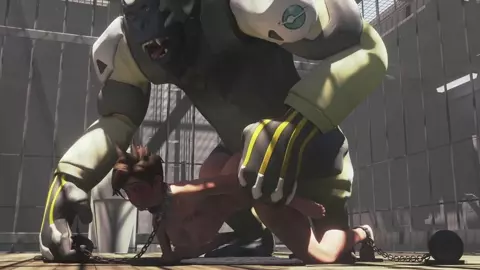 Tracer and the Ape 1