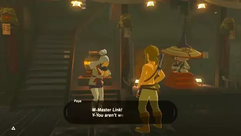 Paya Welcomes Link (by Sable Serviette)