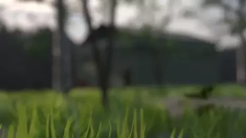 Captured JK Glasses Girl