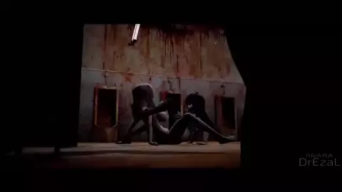 Lilia with insects full history