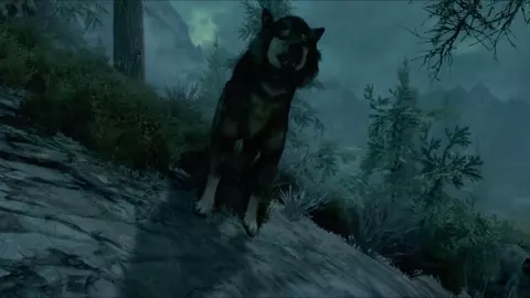 The Druidess - Trailer