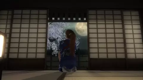 Dead or Alive Sex Virus PMV