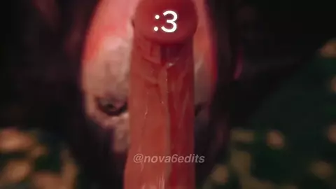 SOUR HARIBOS! | [PMV/HMV/EDIT]