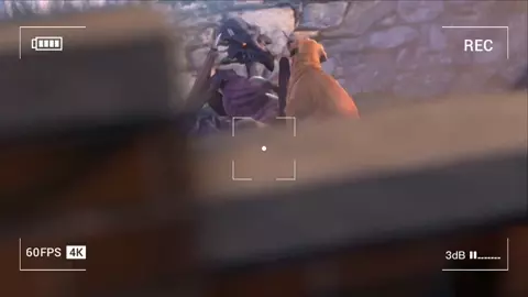 Ridley gets recorded fooling around with Labrador