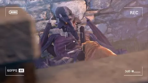 Ridley gets recorded fooling around with Labrador